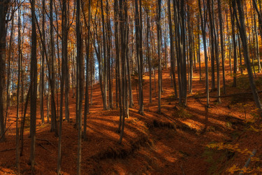 Similar image 21171132