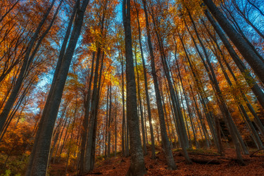 Similar image 21171133