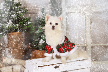 Similar image 21179504