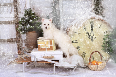 Similar image 21179974