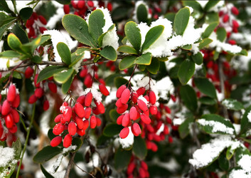 Similar image 21171488