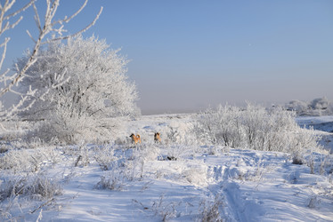 Similar image 21171492