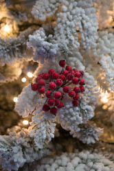 Similar image 21167797