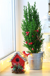 Similar image 21177041