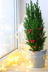 Similar image 21177255