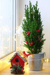 Similar image 21177042