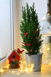 Similar image 21177044