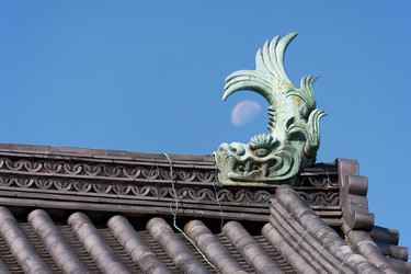 Similar image 21168928