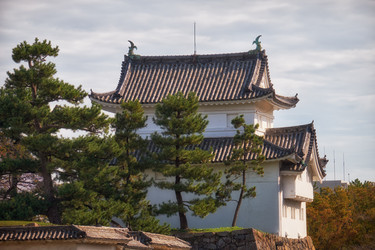 Similar image 21168929