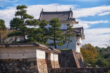 Similar image 21168930