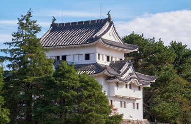 Similar image 21168931