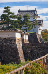 Similar image 21168932