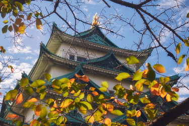 Similar image 21168937