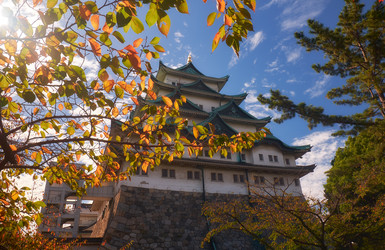 Similar image 21168938