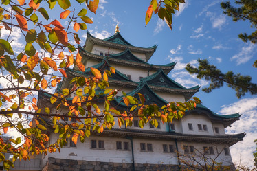 Similar image 21168940