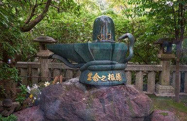 Similar image 21168942