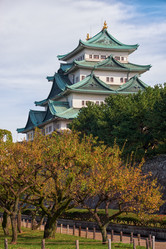 Similar image 21168945