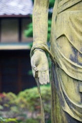 Similar image 21168950