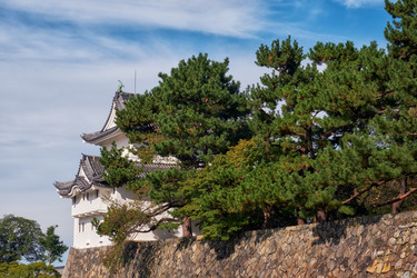 Similar image 21168951