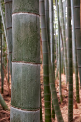 Similar image 21168954