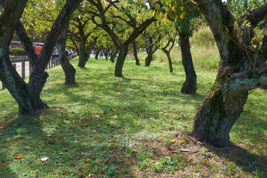 Similar image 21168958