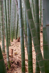 Similar image 21168962