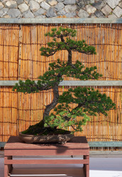 Similar image 21168963