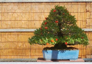 Similar image 21168850