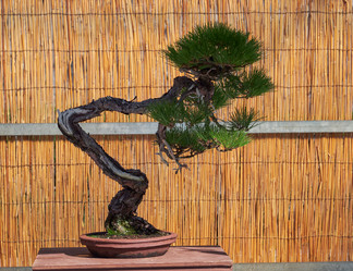 Similar image 21168852