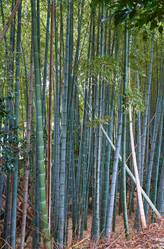 Similar image 21168853