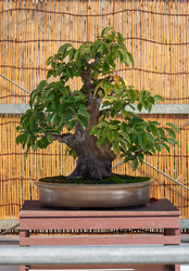 Similar image 21168854