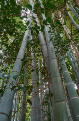 Similar image 21168855