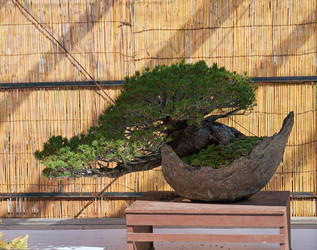 Similar image 21168856