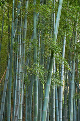 Similar image 21168857