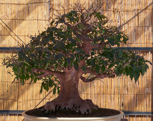 Similar image 21168858