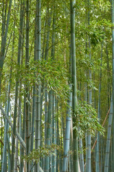 Similar image 21168859