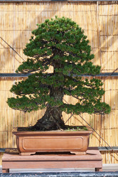 Similar image 21168860