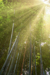 Similar image 21168861