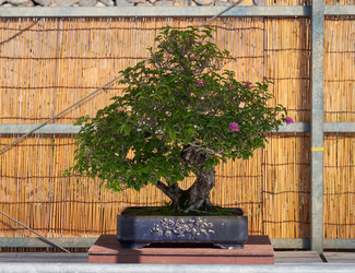 Similar image 21168862