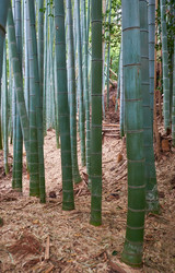 Similar image 21168863