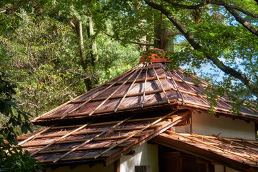 Similar image 21168864