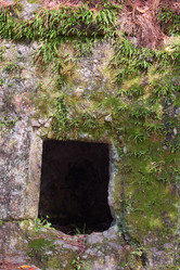 Similar image 21168865