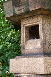 Similar image 21168979