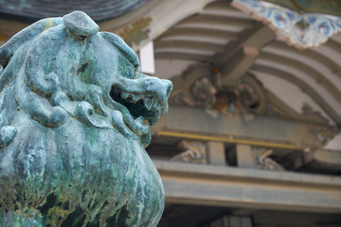 Similar image 21168981