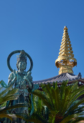 Similar image 21168895