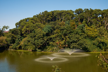 Similar image 21168896