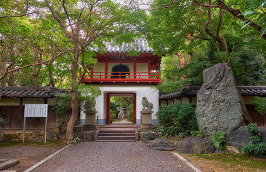 Similar image 21168908