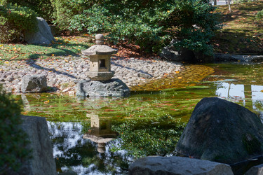 Similar image 21168909