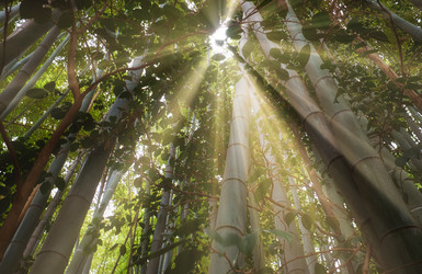 Similar image 21168910