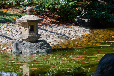 Similar image 21168911